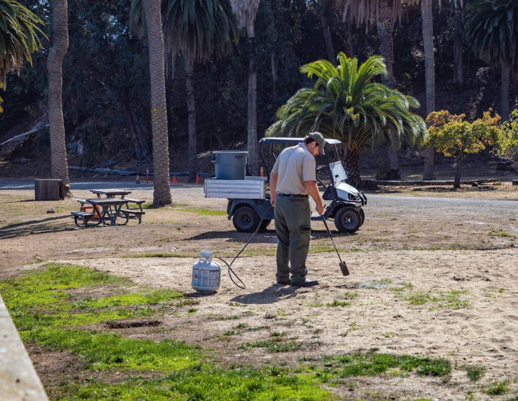 A worker using a gas torch to maintain a park area on a sunny day, surrounded by palm trees.